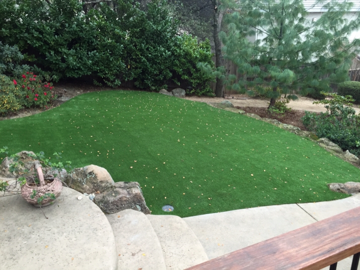 Green Lawn Pico Rivera, California Landscaping, Backyards
