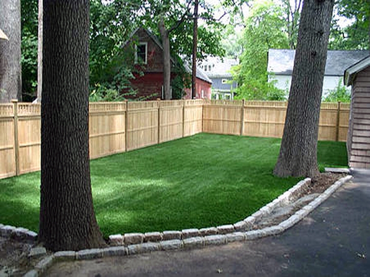 How To Install Artificial Grass Golden Hills, California Artificial Grass For Dogs, Backyard Garden Ideas