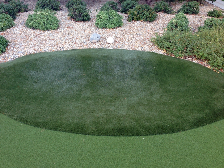 Lawn Services La Canada Flintridge, California Home Putting Green