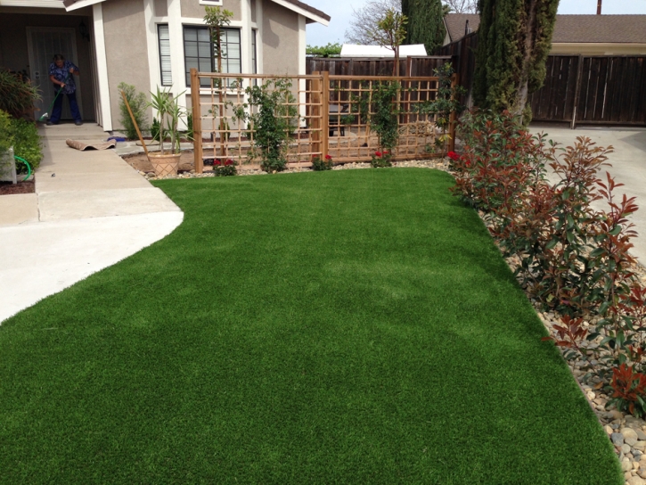 Lawn Services La Habra Heights, California City Landscape, Small Front Yard Landscaping