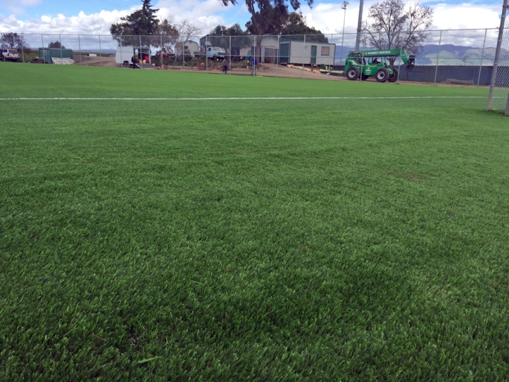 Lawn Services Lynwood, California Softball