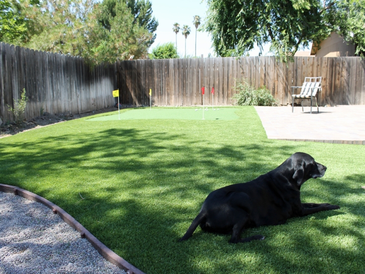 Lawn Services West Whittier-Los Nietos, California Dog Run, Backyard Designs