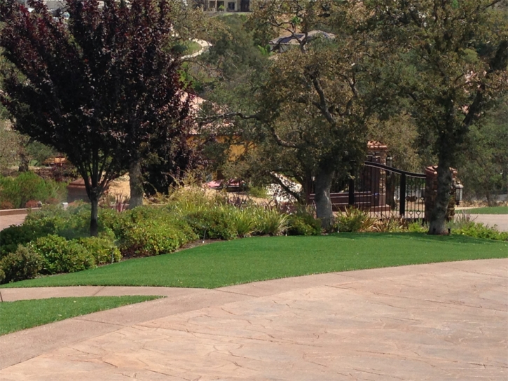 Outdoor Carpet Bell, California Lawn And Landscape, Backyards