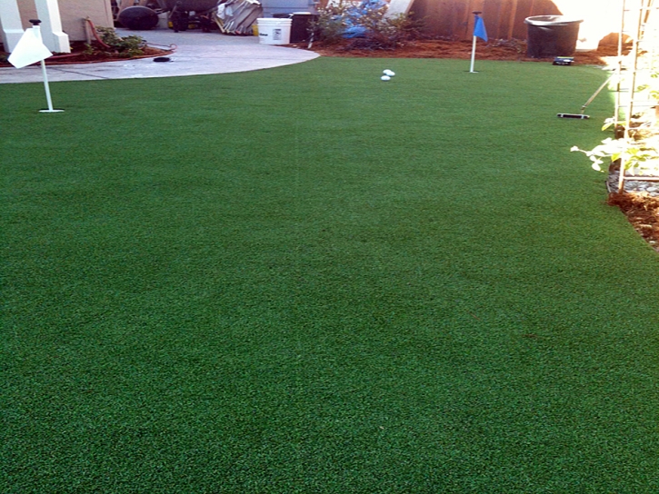 Outdoor Carpet Bloomington, California Landscape Photos, Backyard Garden Ideas