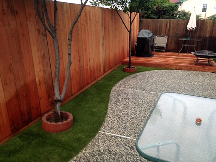 Outdoor Carpet La Palma, California Dog Pound, Backyard Designs