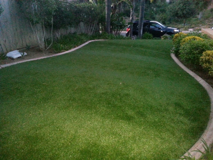 Outdoor Carpet Walnut, California Lawns, Front Yard Landscaping