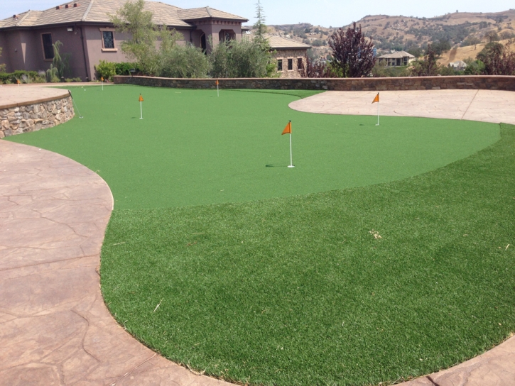 Plastic Grass Florence-Graham, California Backyard Playground