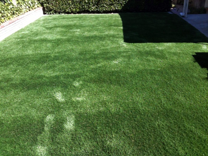 Plastic Grass La Crescenta-Montrose, California Landscaping Business, Beautiful Backyards