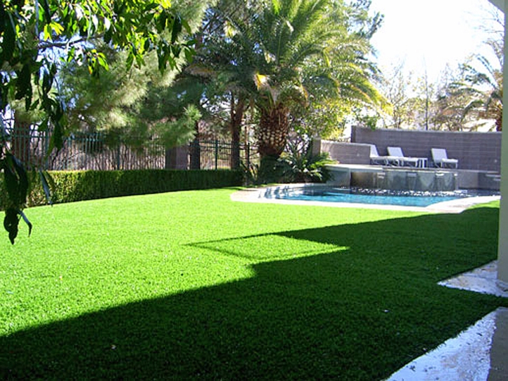 Plastic Grass La Habra, California Home And Garden, Backyard