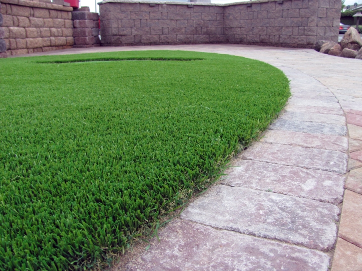 Plastic Grass Pasadena, California Landscaping Business, Front Yard Design