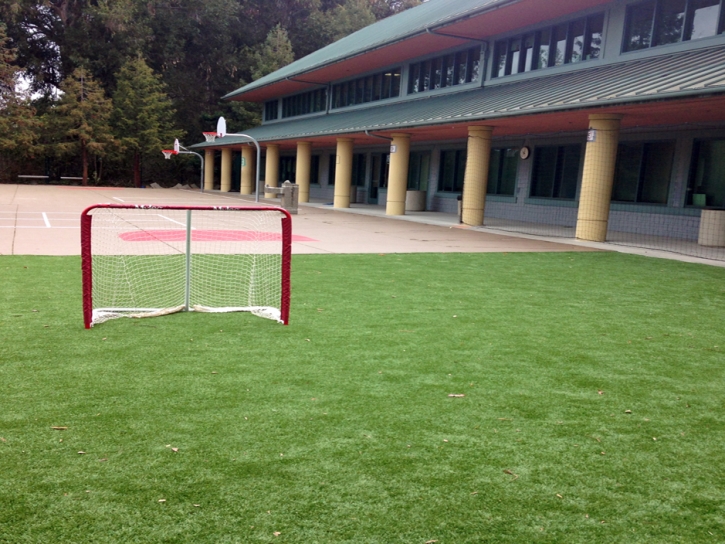 Plastic Grass Santee, California Sports Athority, Commercial Landscape