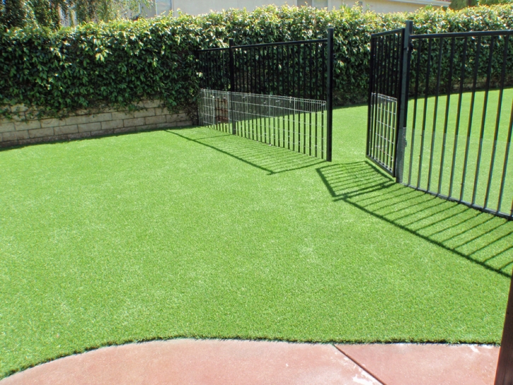 Synthetic Grass Lakewood, California Lawns, Front Yard