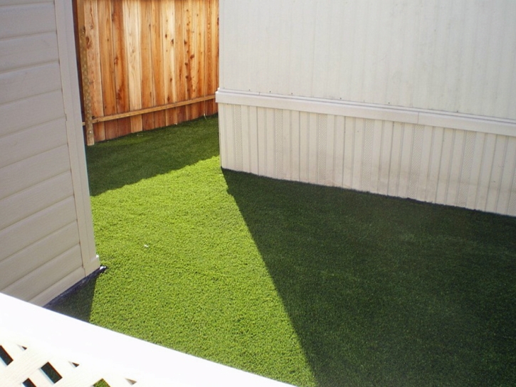 Synthetic Grass Ojai, California Artificial Grass For Dogs, Backyard Landscape Ideas