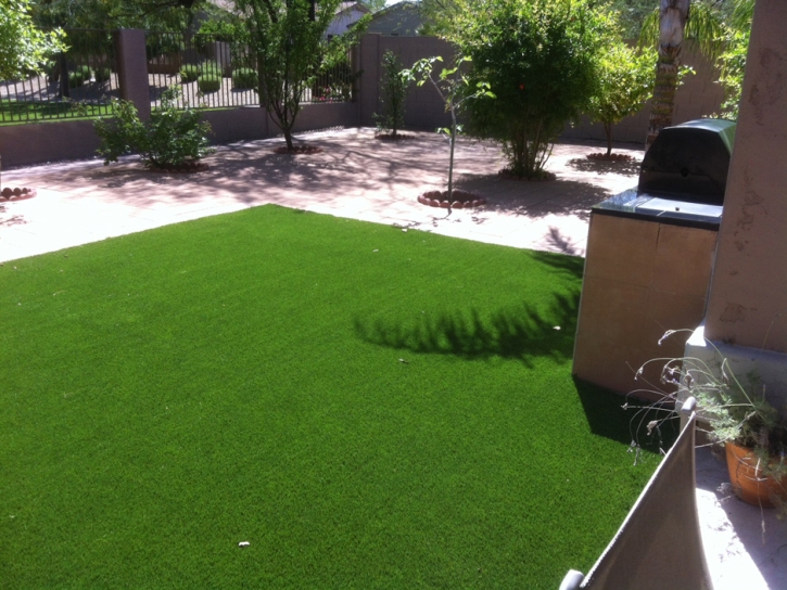 Synthetic Grass Orange, California Design Ideas, Backyard Ideas