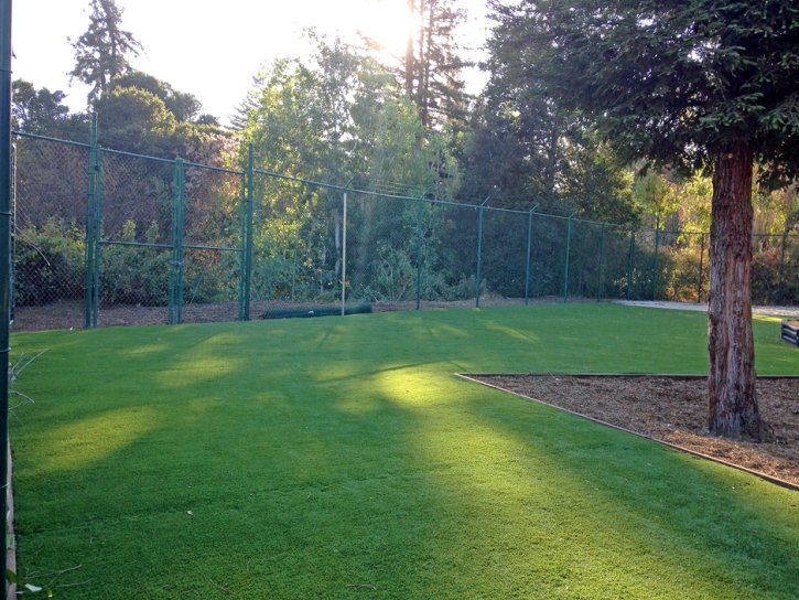 Synthetic Grass Santa Clarita, California Upper Playground, Recreational Areas