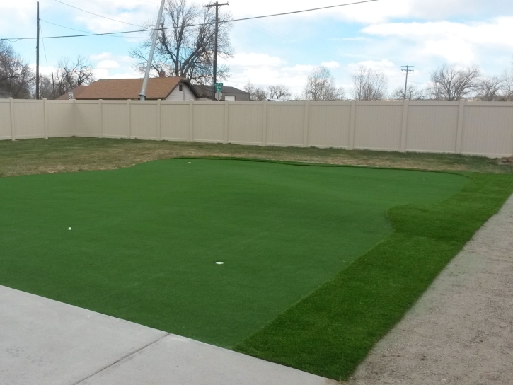 Synthetic Grass South El Monte, California Outdoor Putting Green, Backyard Landscaping