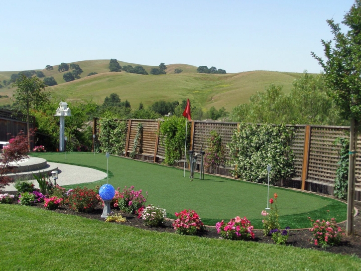 Synthetic Lawn Lake San Marcos, California Best Indoor Putting Green, Backyards