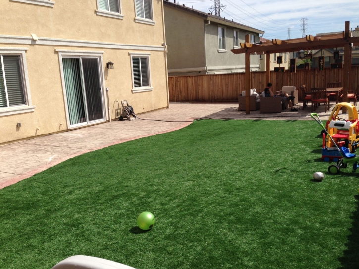 Synthetic Lawn Pasadena, California Rooftop, Backyard Landscaping