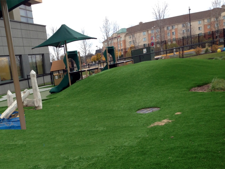 Synthetic Lawn San Antonio Heights, California Indoor Playground, Commercial Landscape