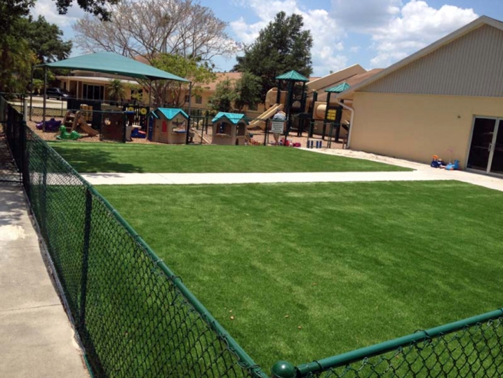 Synthetic Lawn San Marcos, California Landscaping Business, Commercial Landscape