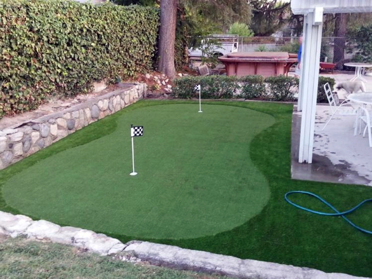 Synthetic Turf South Pasadena, California Landscape Photos, Beautiful Backyards