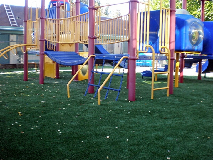 Synthetic Turf Supplier Apple Valley, California Landscaping Business, Commercial Landscape