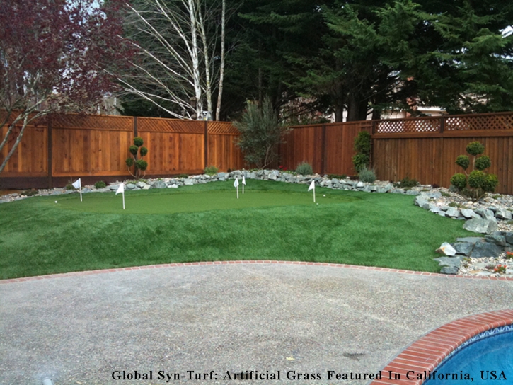 Synthetic Turf Supplier Bellflower, California Putting Green Grass, Backyard