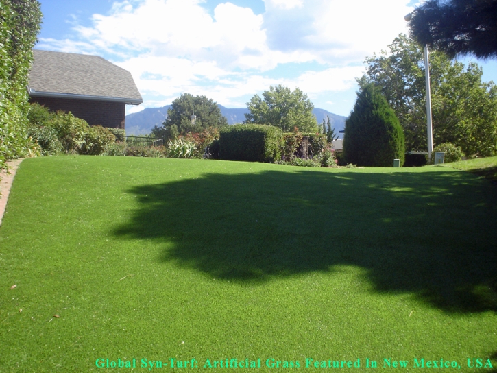 Synthetic Turf Supplier Carson, California Lawn And Landscape, Backyard Landscaping Ideas