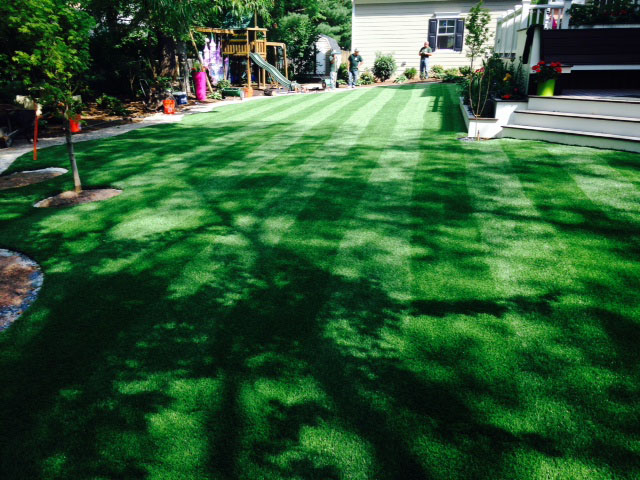 Synthetic Turf Supplier East Pasadena, California Landscape Design, Backyard Design