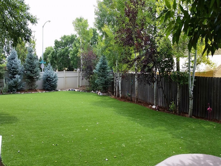 Synthetic Turf Winter Gardens, California Landscape Photos, Backyard Landscaping