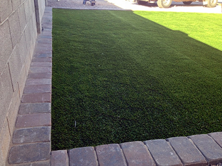 Turf Grass National City, California Backyard Playground, Front Yard Landscape Ideas