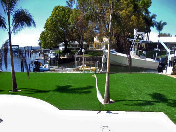 Turf Grass West Rancho Dominguez, California Landscape Design, Backyard Ideas